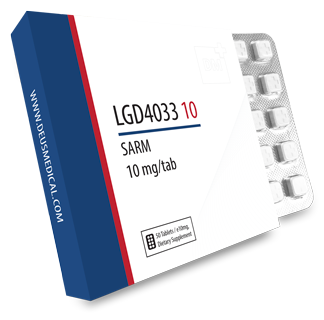 LGD4033 10
